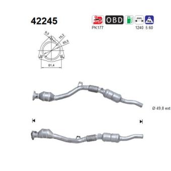 Catalyseur AS 42245
