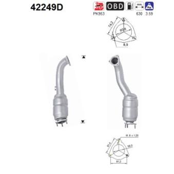 Catalyseur AS [42249D]