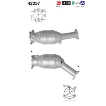 Catalyseur AS 42257