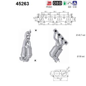 Catalyseur AS 45263