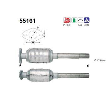 Catalyseur AS 55161
