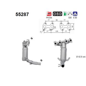 Catalyseur AS [55287]