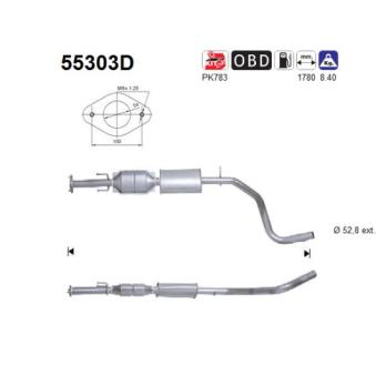 Catalyseur AS [55303D]