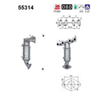 Catalyseur AS [55314]