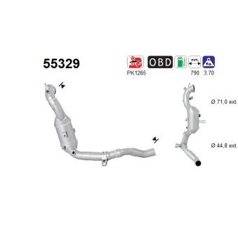 Catalyseur AS [55329]