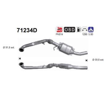 Catalyseur AS [71234D]