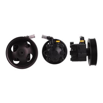 Pompe hydraulique, direction DRI OEM 491108H30B