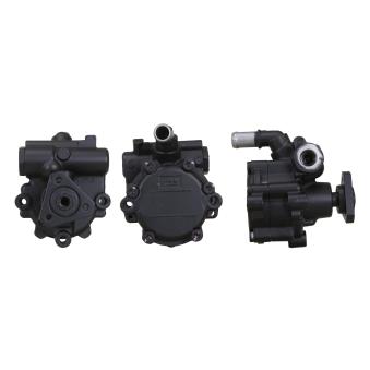 Pompe hydraulique, direction DRI OEM 491101451R