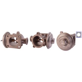 Vanne EGR DRI OEM 7793484 Vanne EGR DRI OEM 7793484