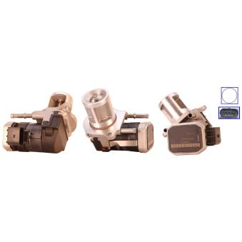 Vanne EGR DRI 717730141