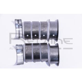 Kit de coussinet de vilebrequin RED-LINE 02NI035 Kit de coussinet de vilebrequin RED-LINE 02NI035