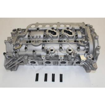 Culasse de cylindre RED-LINE [21NI037]