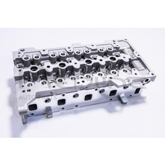 Culasse de cylindre RED-LINE 21SZ011