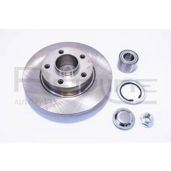 Jeu de 2 disques de frein arrière RED-LINE OEM 8200228610