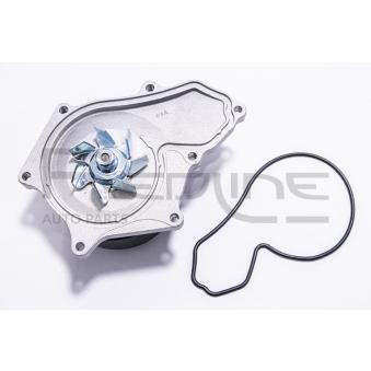 Pompe à eau, refroidissement du moteur RED-LINE [28HO014]