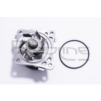 Pompe à eau, refroidissement du moteur RED-LINE 28MI035 pour SEAT LEON 1.3 - 95cv