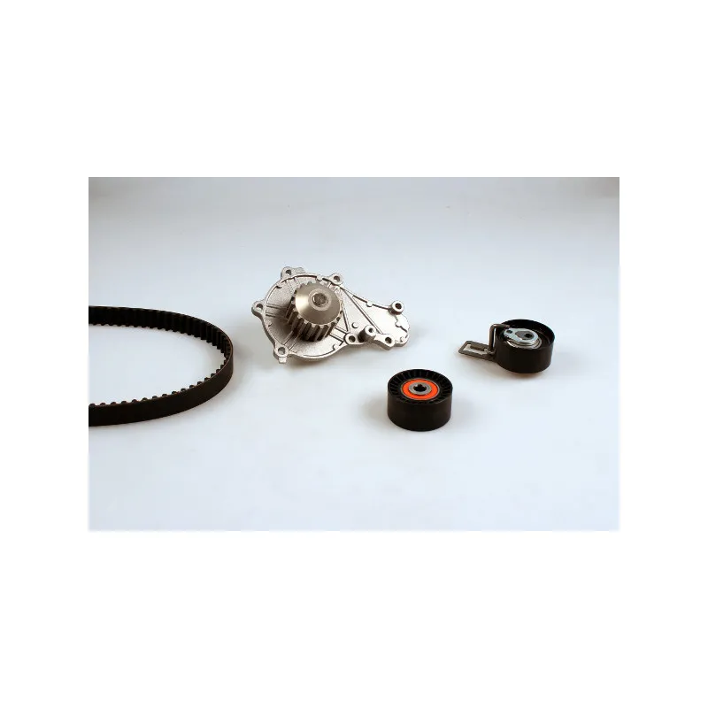 Kit Reparation Pompe A Eau Peugeot 203