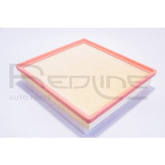Filtre à air RED-LINE [36NI046]