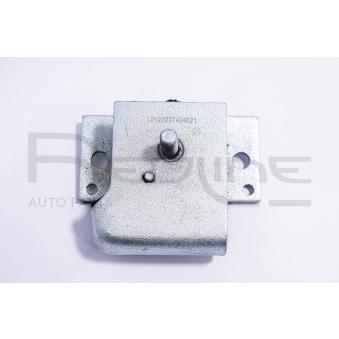 Support moteur RED-LINE 43NI022