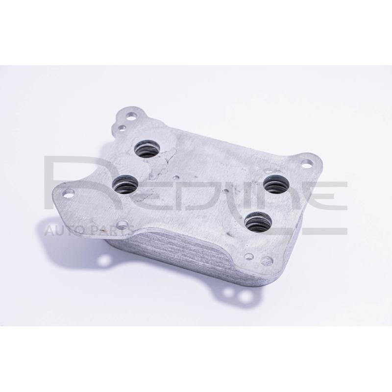 Radiateur d'huile RED-LINE 51HY065 - Visuel 1