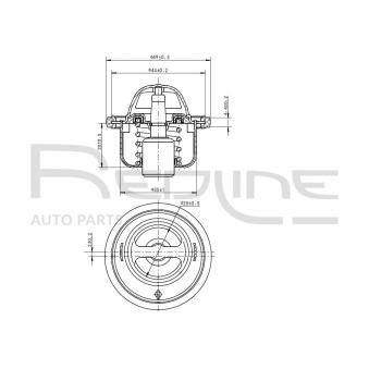 Thermostat d'eau RED-LINE OEM 2550002550