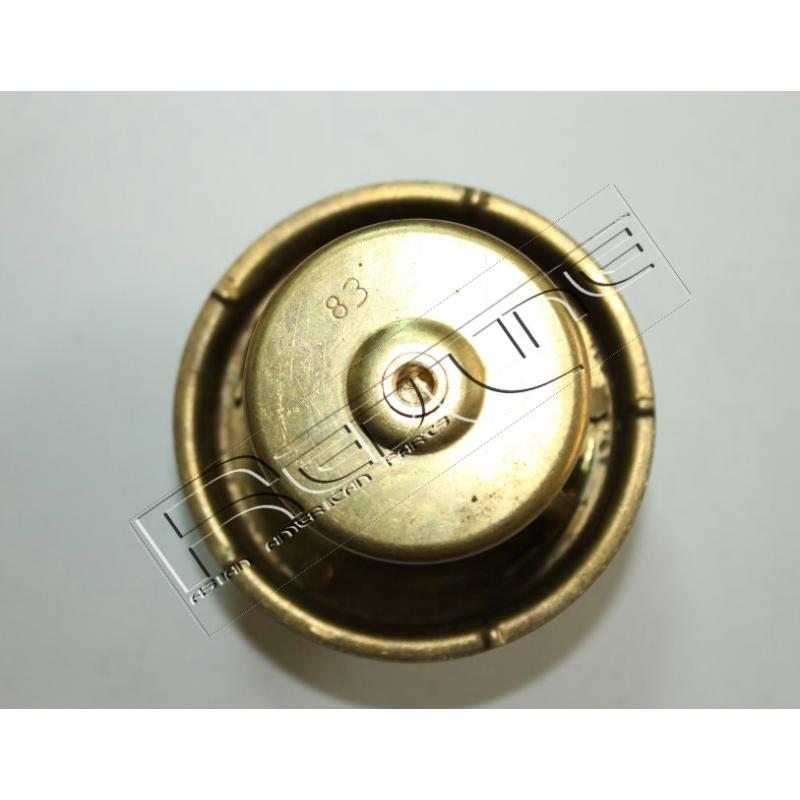 Thermostat d'eau RED-LINE 55TA001 - Visuel 2