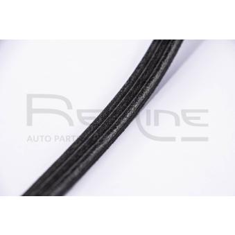 Courroie trapézoïdale à nervures RED-LINE OEM 25183061