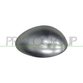 Revêtement, rétroviseur extérieur PRASCO AA3407405