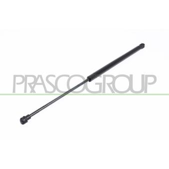 Vérin de hayon, de coffre PRASCO AD0169055 pour RENAULT ESPACE 1.9 TDI - 110cv
