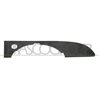 Baguette et bande protectrice, pare-chocs avant droit PRASCO AD0221233