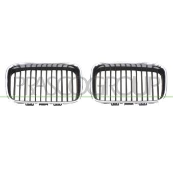 Grille de radiateur PRASCO BM0142114