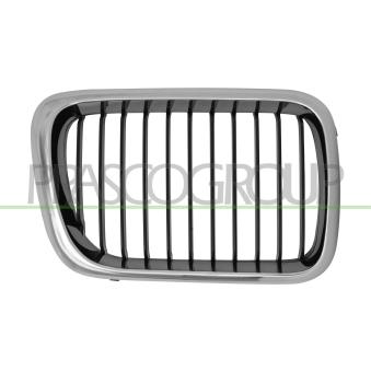 Grille de radiateur PRASCO [BM0142123]