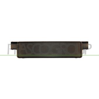 Support de plaque d'immatriculation PRASCO BM0181539