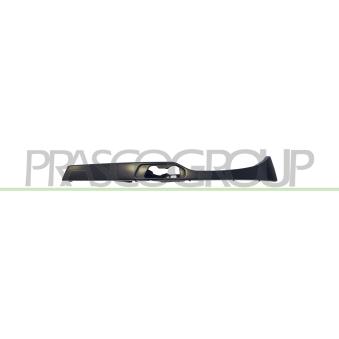 Enjoliveur, projecteur principal PRASCO [BM0222114]