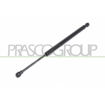Vérin de hayon, de coffre PRASCO BM0249055 pour FORD GRANADA 325 i - 218cv
