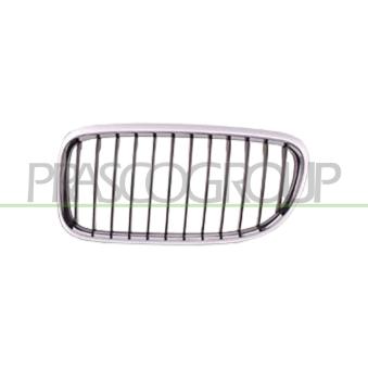 Grille de radiateur PRASCO OEM 51137201967