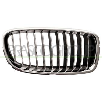 Grille de radiateur PRASCO OEM 51137263482 Grille de radiateur PRASCO OEM 51137263482