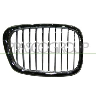 Grille de radiateur PRASCO OEM 51132497262