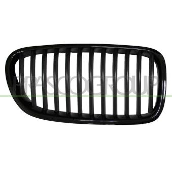 Grille de radiateur PRASCO BM0482004