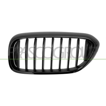 Grille de radiateur PRASCO [BM0532004]