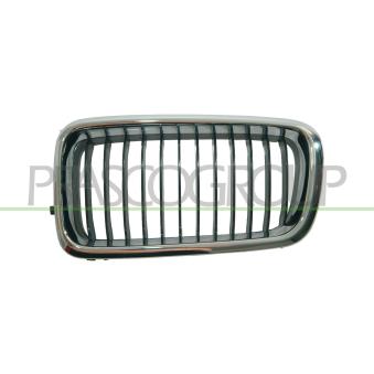Grille de radiateur PRASCO BM0982004