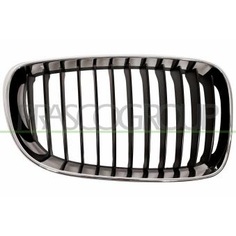 Grille de radiateur PRASCO [BM1212003]