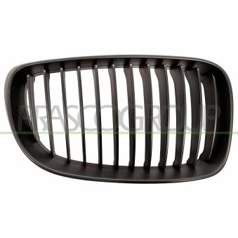 Grille de radiateur PRASCO BM1212013