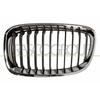Grille de radiateur PRASCO BM1232004 pour BMW Série 1 114 d - 95ch