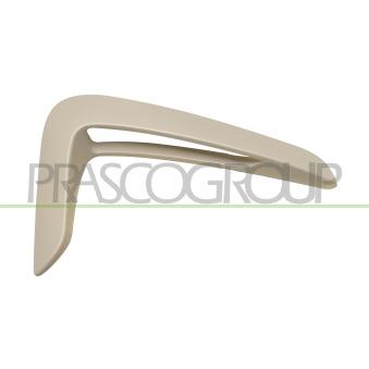 Baguette et bande protectrice, aile avant droit PRASCO BM3901403