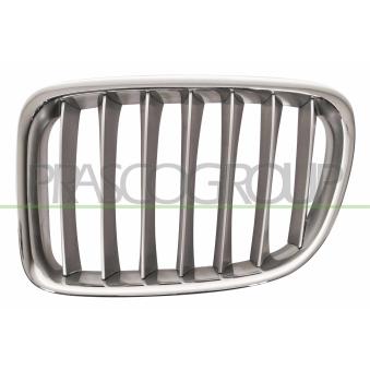 Grille de radiateur PRASCO BM7022034