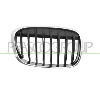 Grille de radiateur PRASCO BM7072013