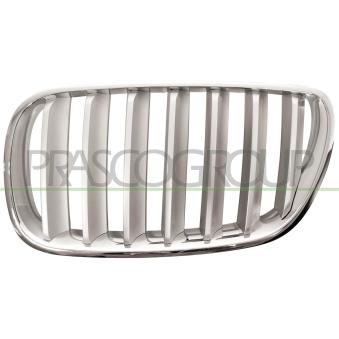 Grille de radiateur PRASCO BM8032014