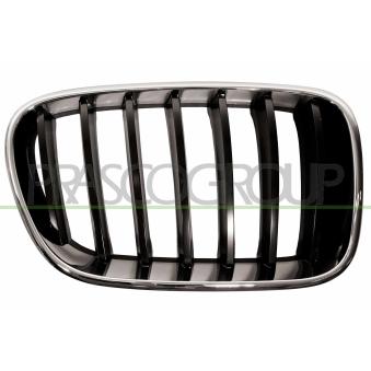 Grille de radiateur PRASCO BM8042003