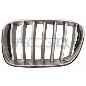 Grille de radiateur PRASCO [BM8042014]